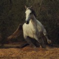 /album/galeria-fondos/a5756743-lg-jpg/